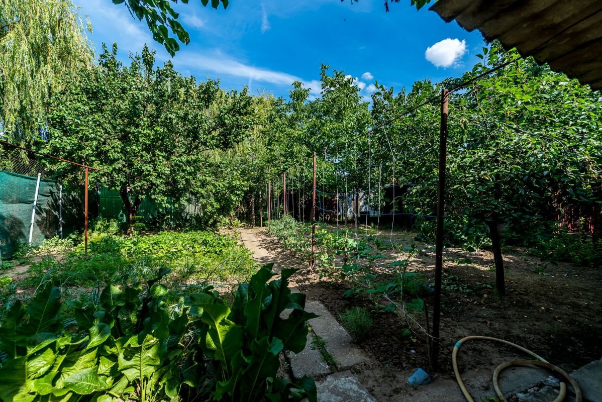 6b1a9bcaa48a44ac851536df2e5c7cf3 Casa 3 camere, bucatarie si baie, in zona centrala din Chisineu-Cris