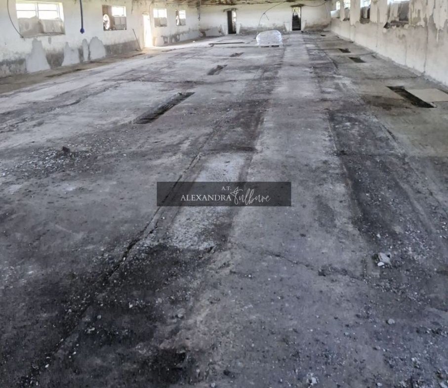 Teren 43884 mp intravilan, 4 hale 6000 mp, nod autostrada, Bogata
