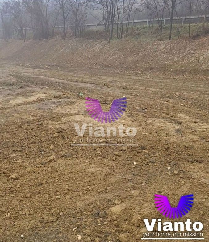 Teren extravilan | 3700 mp | Utilitati in zona | Investitie cu potential