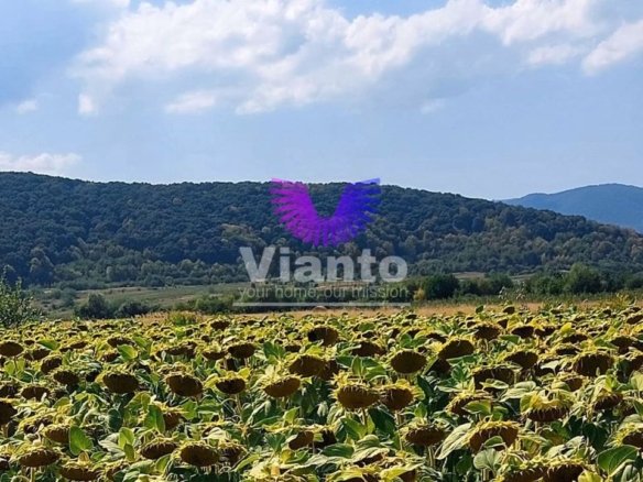 Teren Extravilan 900mp – Poplaca