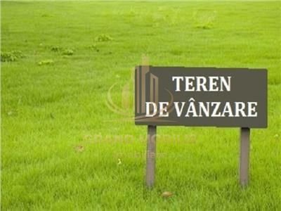 Teren 5.000 mp centura Calea Sagului- Freidorf.
