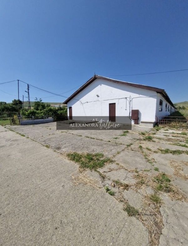 Teren 43884 mp intravilan, 4 hale 6000 mp, nod autostrada, Bogata