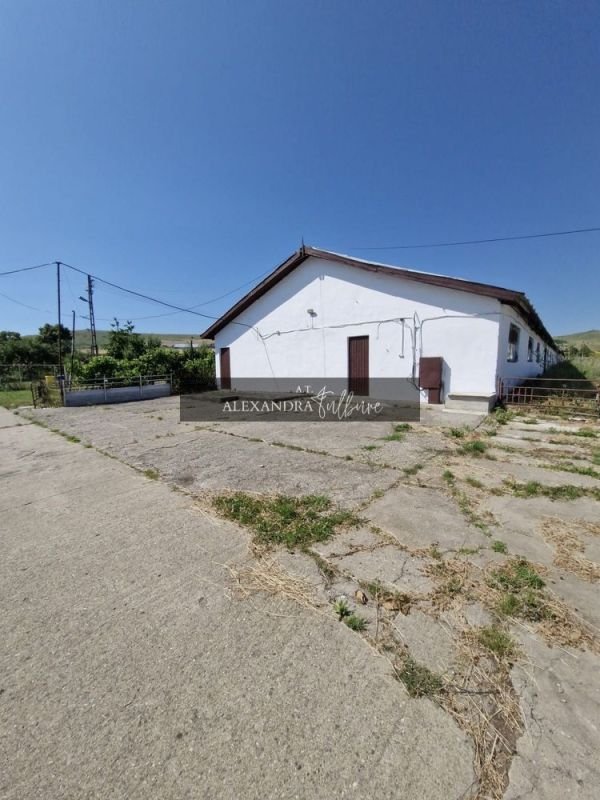 904ed132ff4146e28032b910aa633a37 Teren 43884 mp intravilan, 4 hale 6000 mp, nod autostrada, Bogata