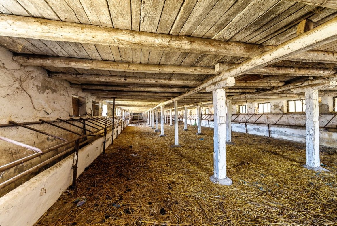 Fermă Mândruloc 2,5 ha