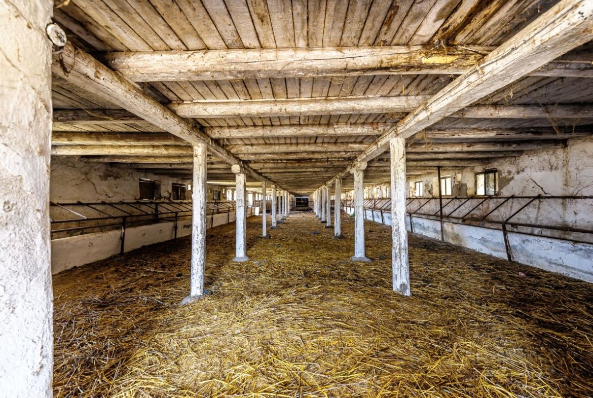 Fermă Mândruloc 2,5 ha