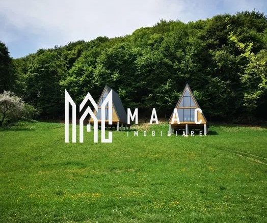 Teren | Intravilan | 5129 MP | 2 Cabane AFrame | Oportunitate Investiție | Bradu