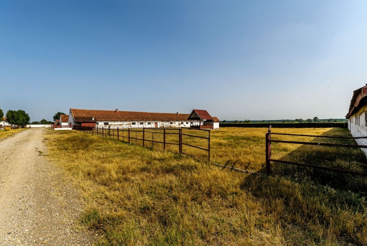 Fermă Mândruloc 2,5 ha