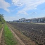 Vand lot de 1000mp in zona Tunari. Cel mai ieftin din zona!