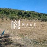 TEREN 5000 MP I SĂLIȘTE I PARCELABIL