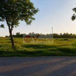 Vânzare teren intravilan – 9.500 mp, DN26 – Tulucesti