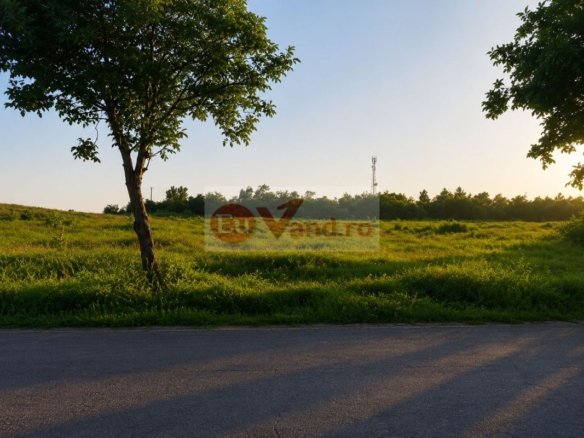 Vânzare teren intravilan – 9.500 mp, DN26 – Tulucesti