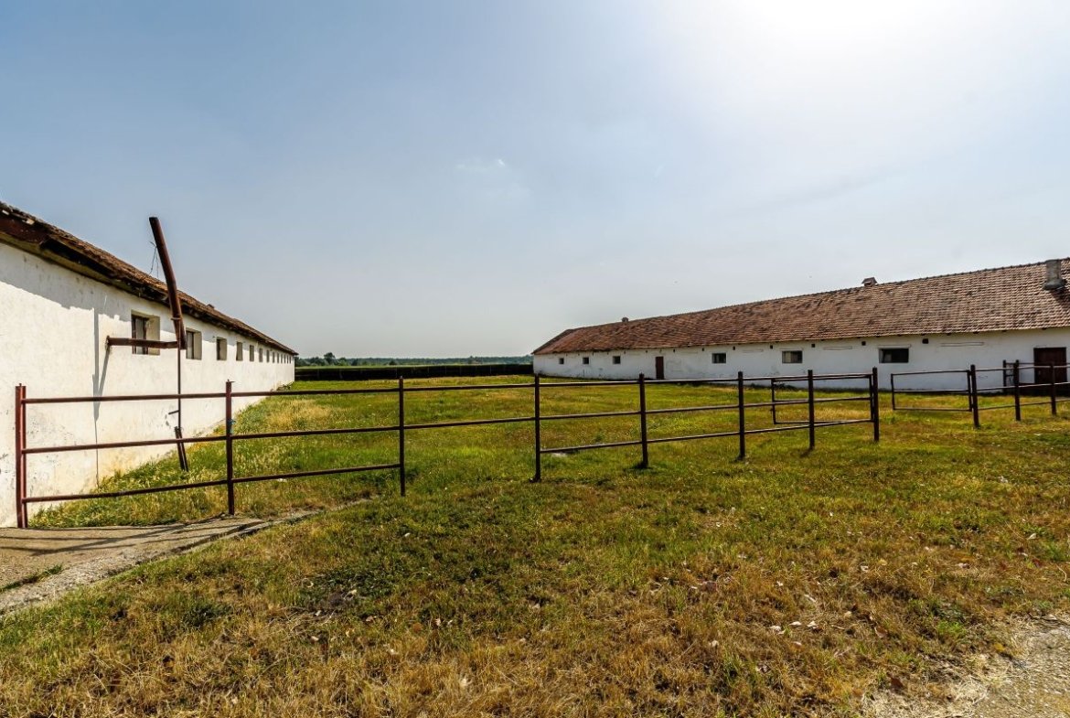 Fermă Mândruloc 2,5 ha