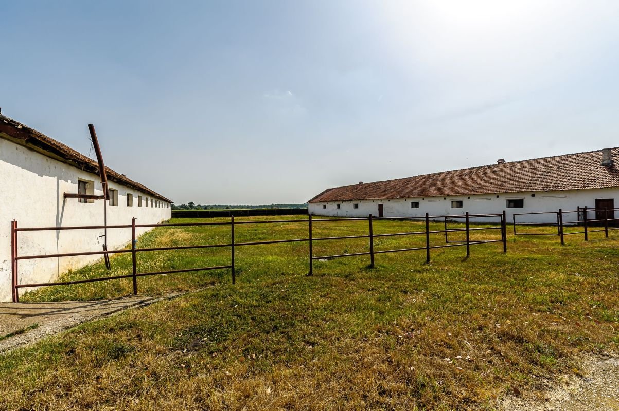 eaeda67e2868410db9c97b0028fbcb47 Fermă Mândruloc 2,5 ha