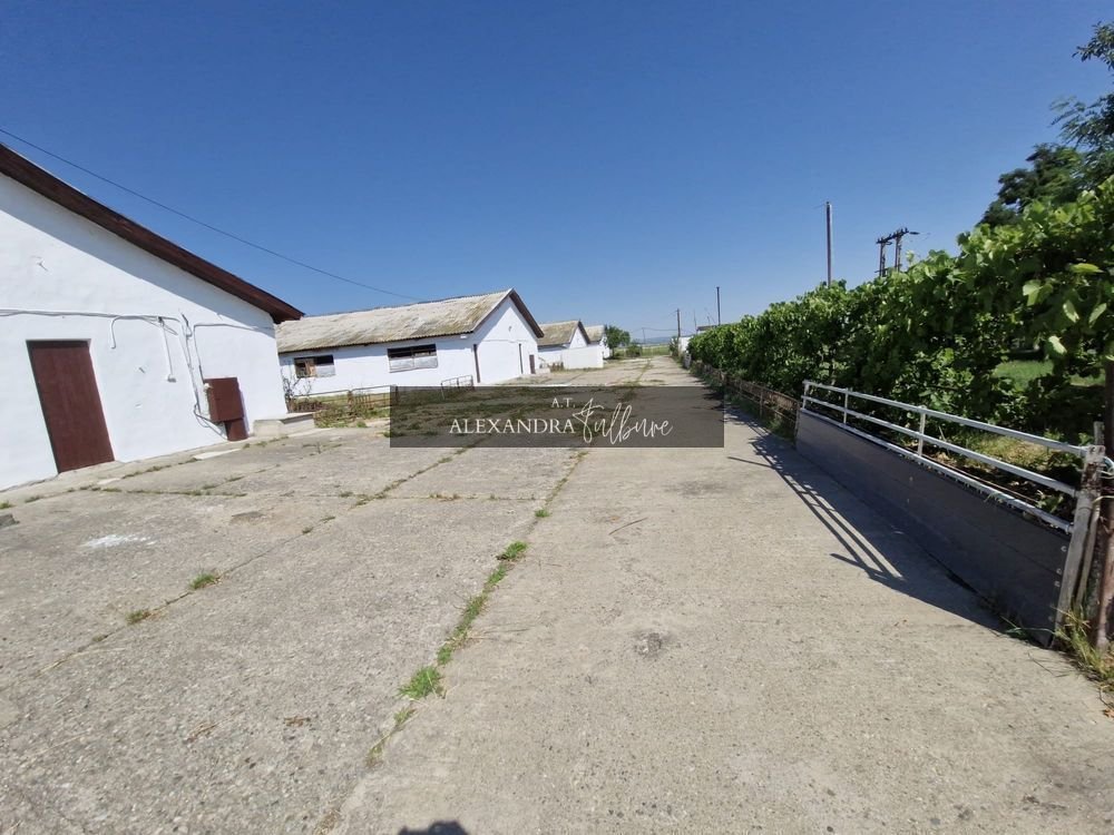 Teren 43884 mp intravilan, 4 hale 6000 mp, nod autostrada, Bogata