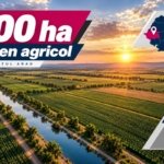 200 ha teren agricol de vanzare in Arad