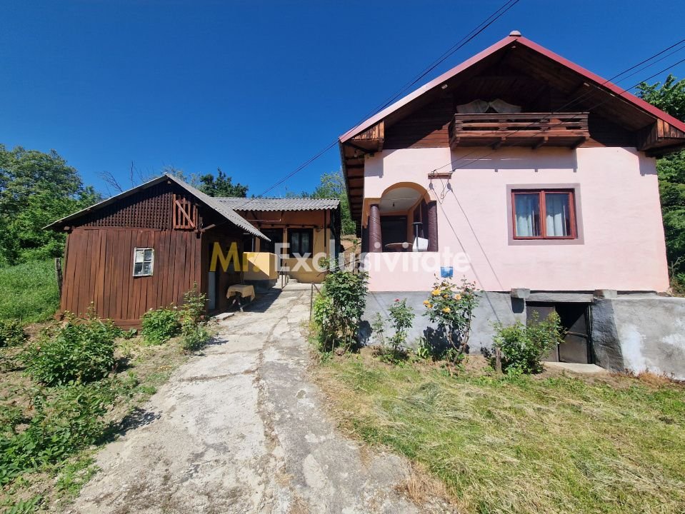 Căsuță autentică românească între două dealuri–colț de liniște  în Botesti, Arge