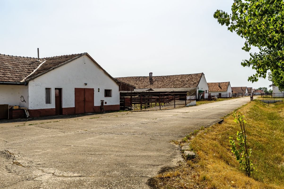 fbcae7f0b5b44b12b99fdc48fc482c72 Fermă Mândruloc 2,5 ha