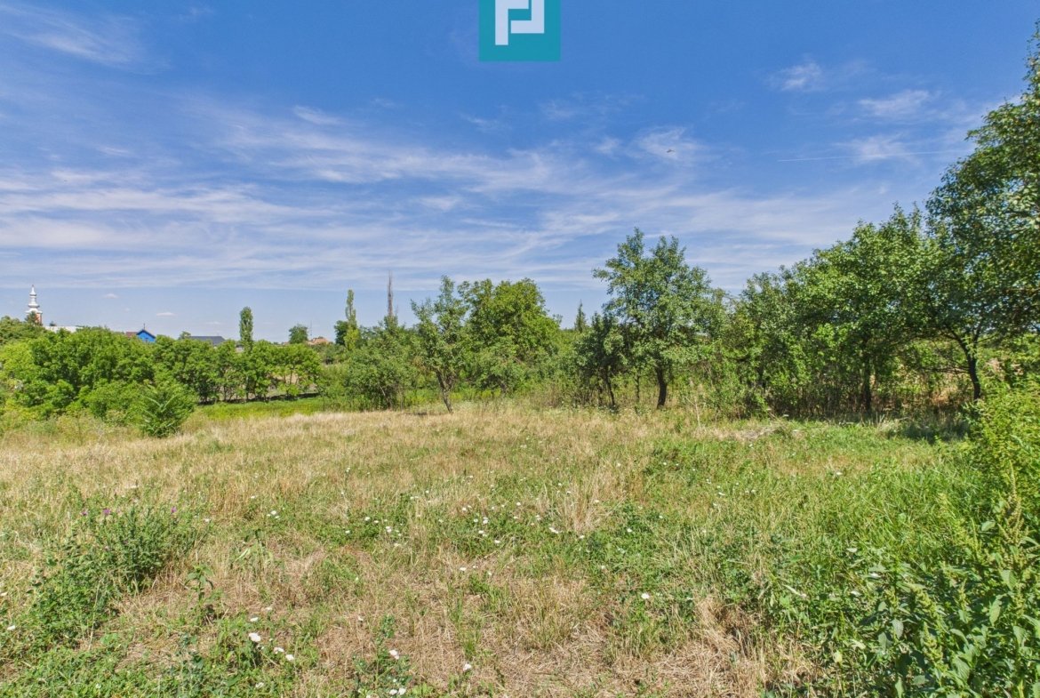 Teren 4919 mp– Comuna Călacea