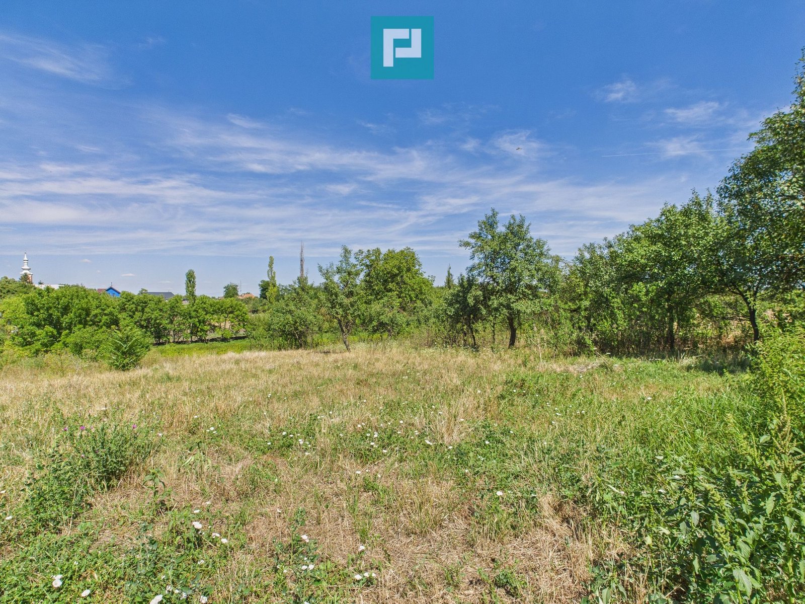 Teren 4919 mp– Comuna Călacea