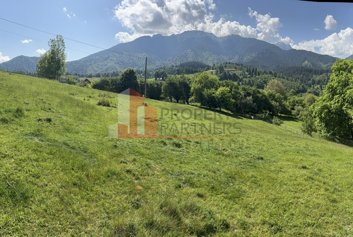 Teren cu priveliște spectaculoasă în Bran – Sohodol