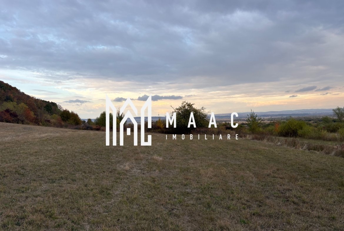 Teren de vânzare 5.000 mp | Poplaca | lângă pădure