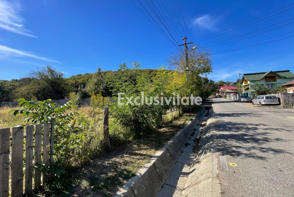 Teren 1220mp intravilan Bascov, AG