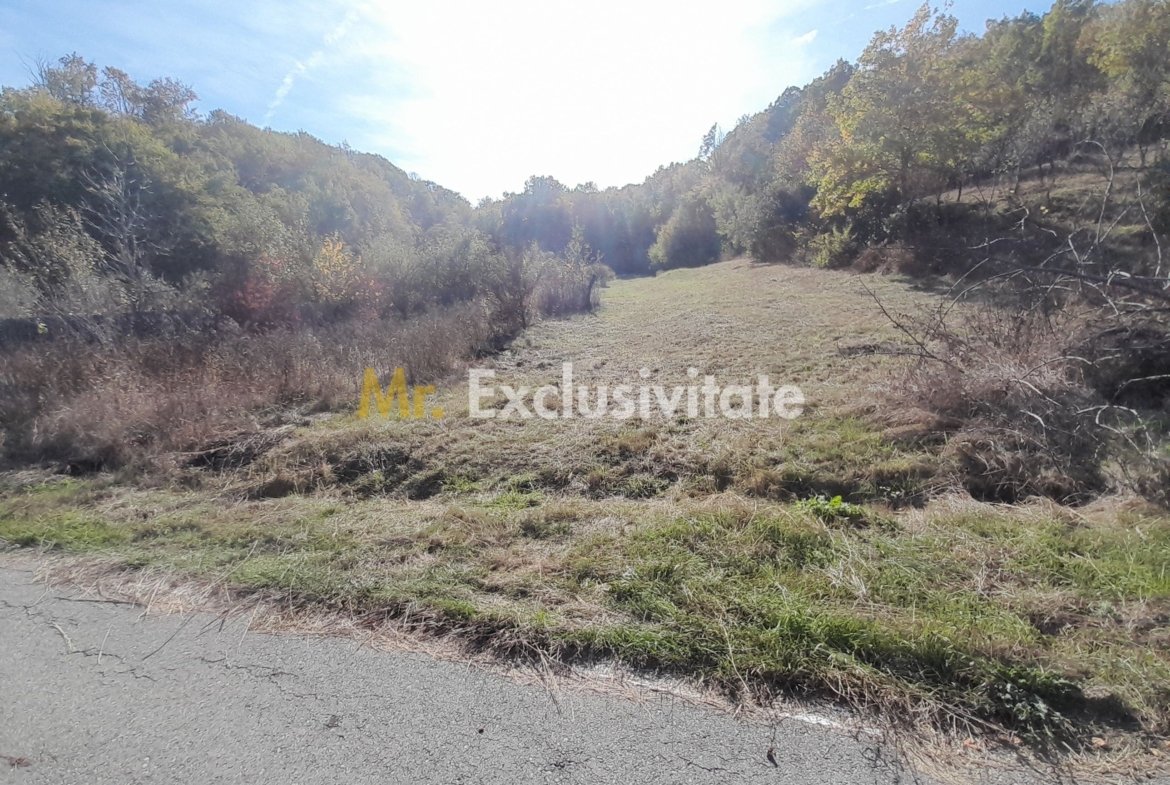 TEREN DE VANZARE IN BABANA, ARGES,  LANGA PADURE