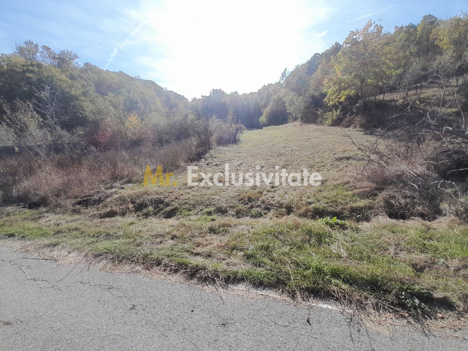 12abc43dc0354087a0f829ee490cc4f0 TEREN DE VANZARE IN BABANA, ARGES, LANGA PADURE