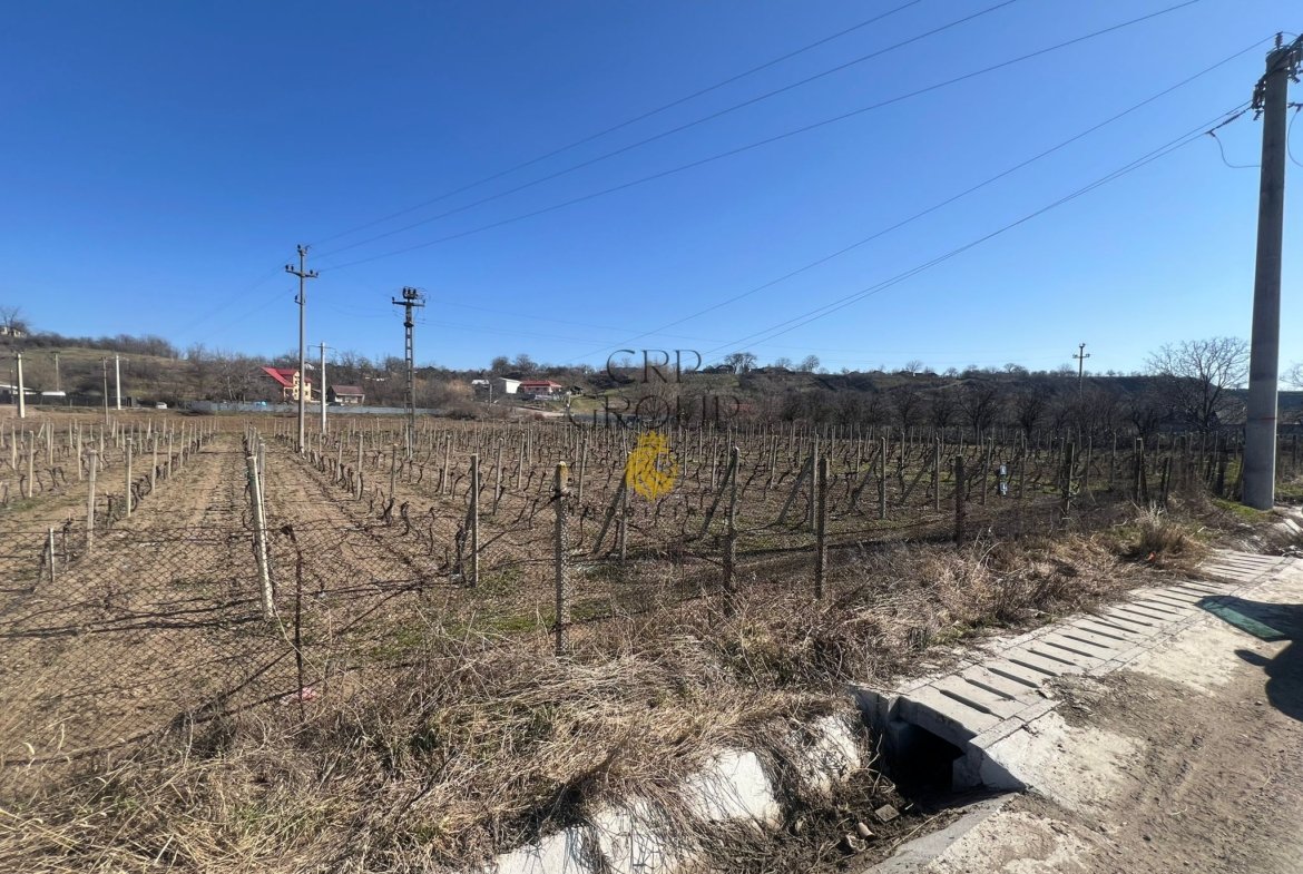Teren intravilan 2700 mp, deschidere 41 ml, Movilita – Vrancea