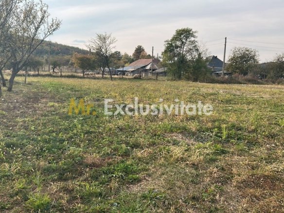 Teren intravilan – 1.135 mp, sat Crampotani, com. Merisani