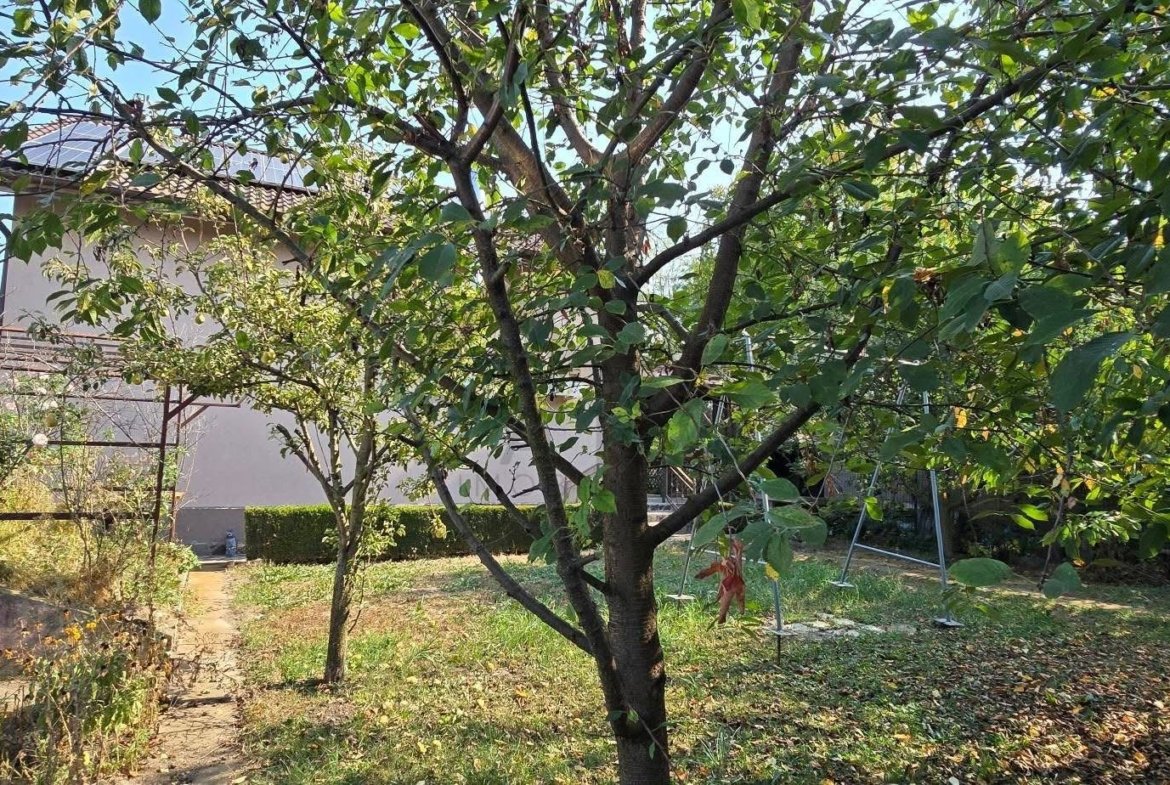 Vand casa unifamiliara in Sângeorgiu de Mures