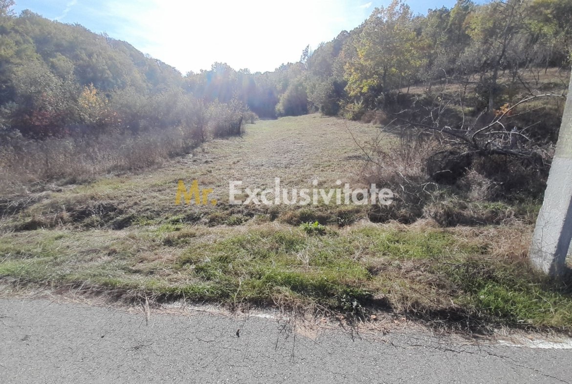 TEREN DE VANZARE IN BABANA, ARGES,  LANGA PADURE