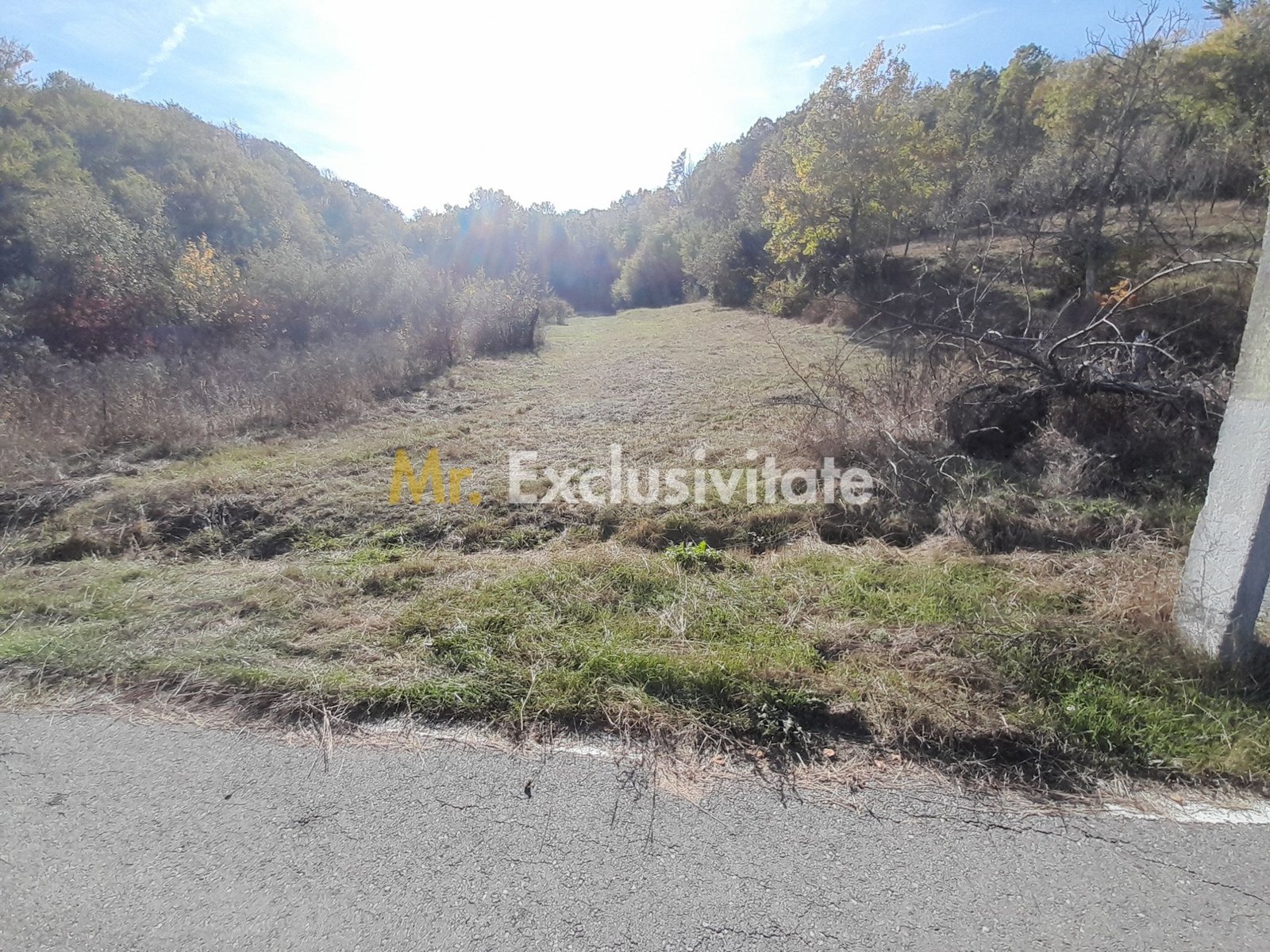 22a443c5ed484b76a220480138cf107d TEREN DE VANZARE IN BABANA, ARGES, LANGA PADURE