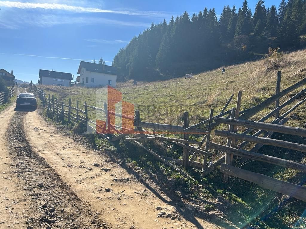 Teren Fundatica intravilan 4500 mp