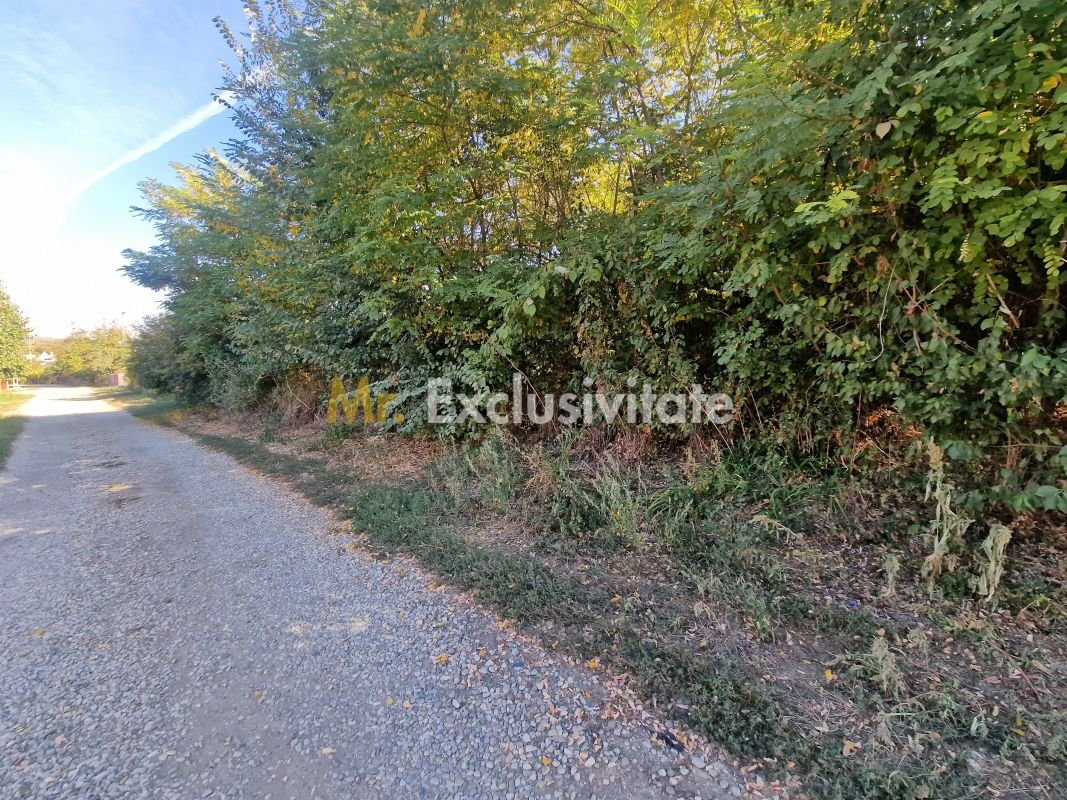 360d11cb0177424faf1a716694652241
