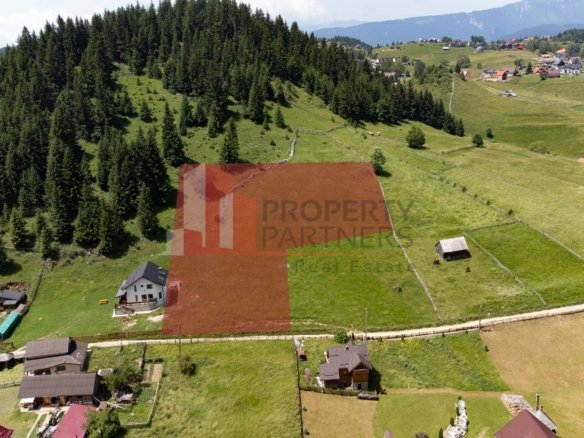 Teren Fundatica intravilan 4500 mp
