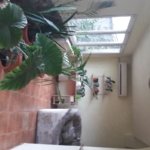 Casă individala cu etaj, având 2 apartamente separate în Timișoara