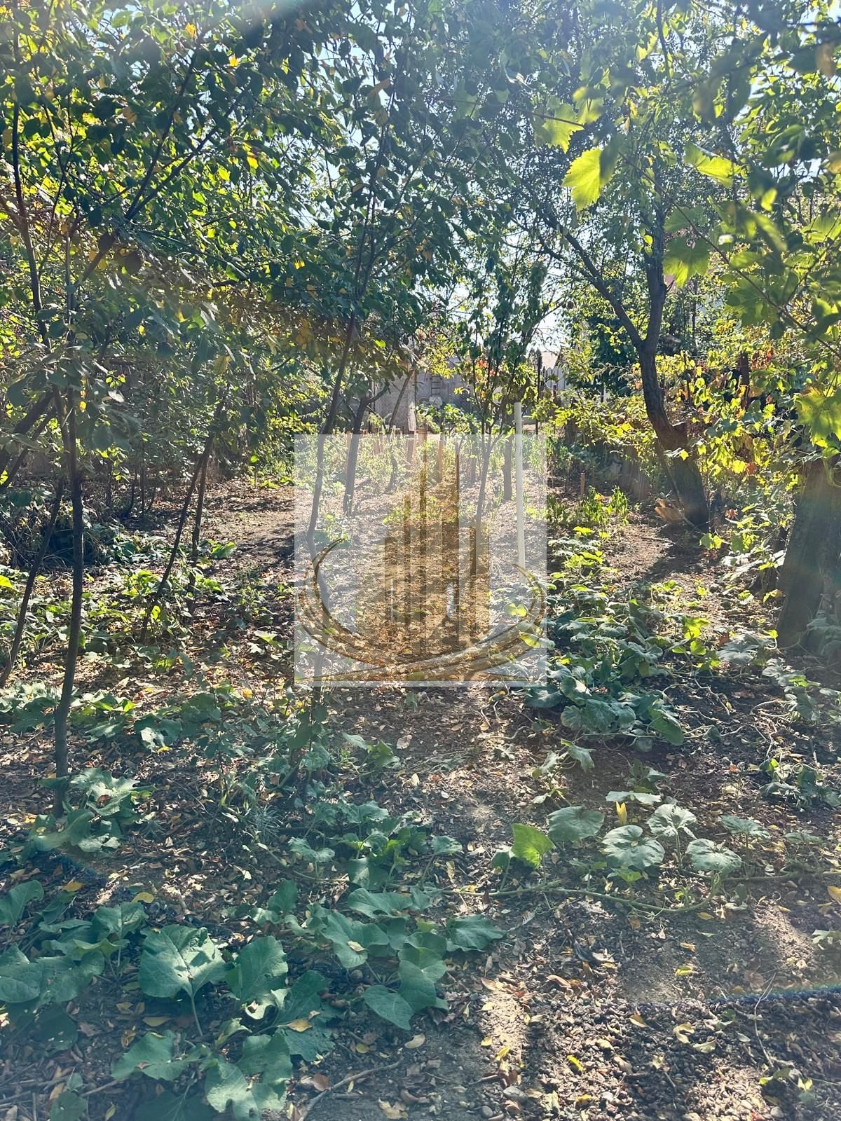 Casă individuală Plopi, 60 mp utili, teren 477 mp, necesită renovare