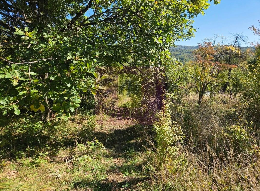 Teren extravilan de 10.452 mp de vanzare in Lunca Mare