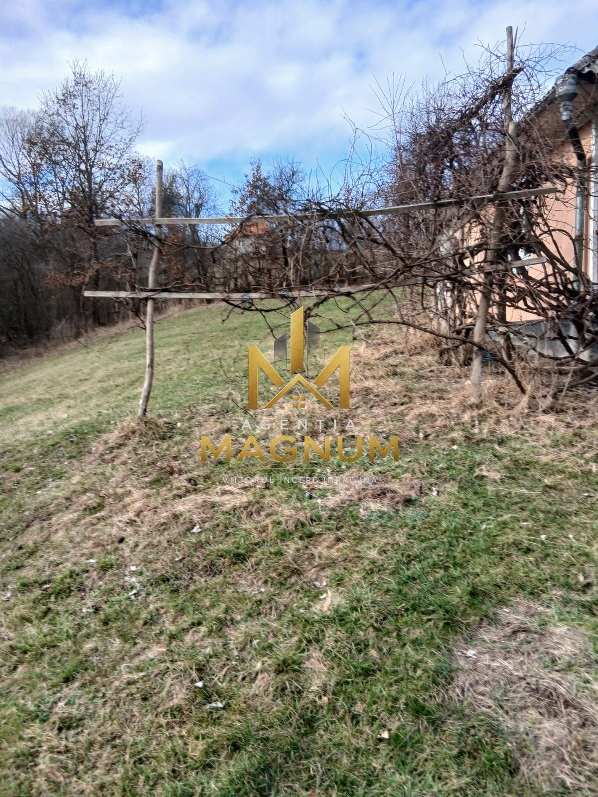 3fe3722135cd4e7da4503d5793f68af6 Casa de vanzare in Berinta Maramures