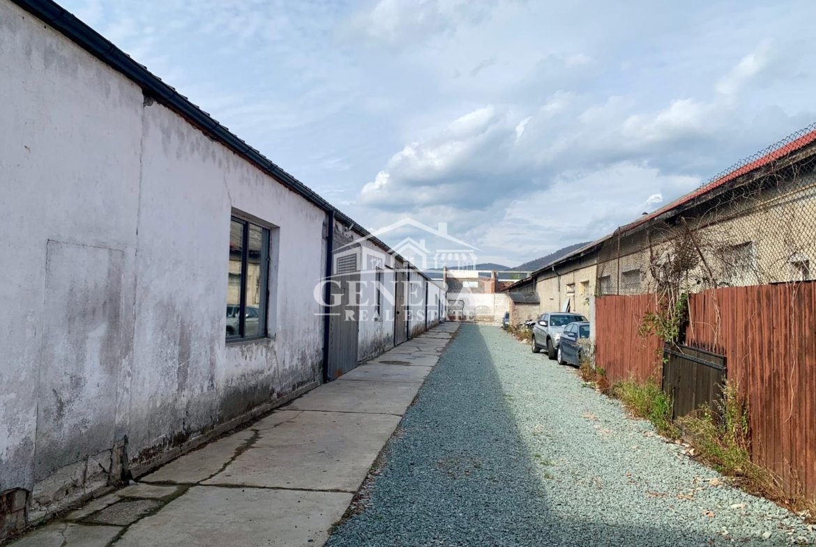 Hala de inchiriat pe Bd. Regele Mihai 150m2 si 300m2 pret /3Euro  /m2