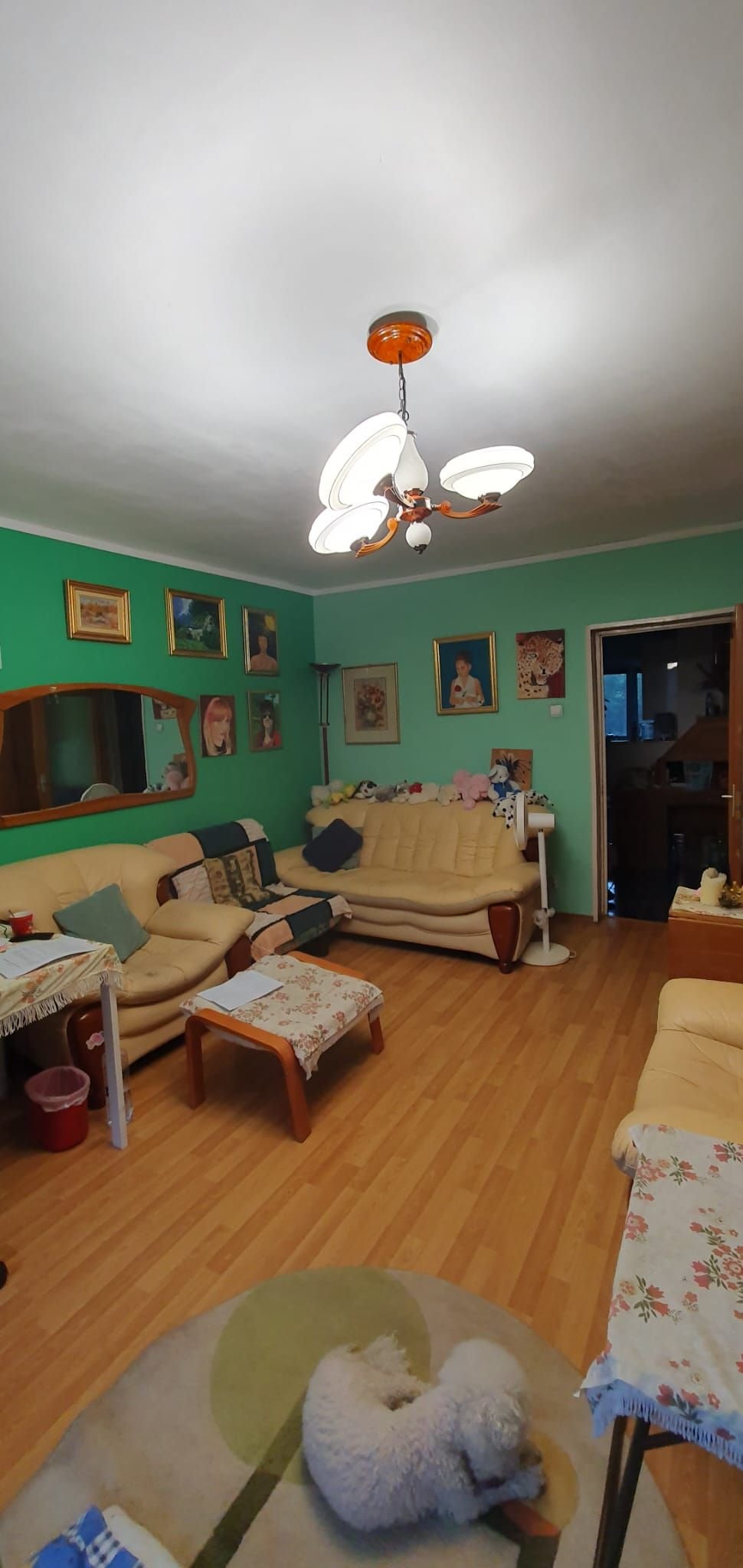 4a1d824e06f6470a830ee483b75ba30f Vând apartament 3 camere decomandat, Bv. 13 Septembrie