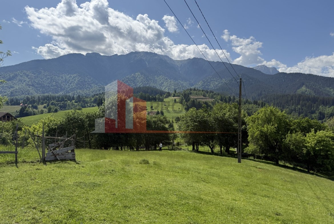 Teren cu priveliște spectaculoasă în Bran – Sohodol
