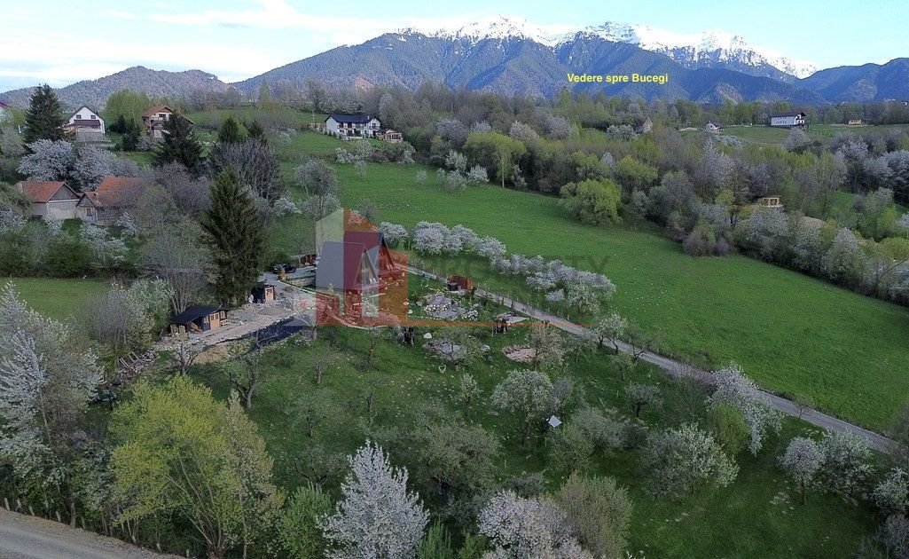 2  A-Frame | Bran Sohodol| 2 cabane | Teren 3.812 mp | Operațional |