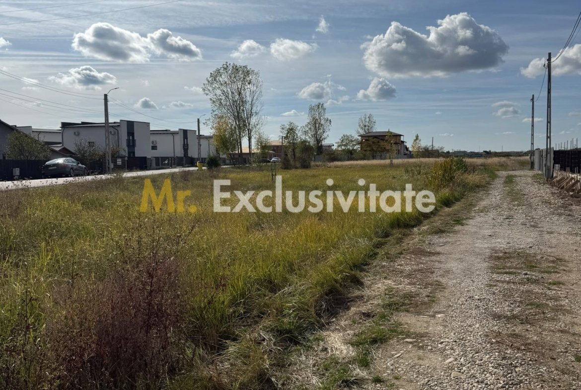 TEREN INTRAVILAN 3 LOTURI | 1.334 MP | BRADU | POTENȚIAL INVESTIȚIONAL