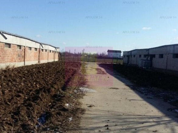 Teren Balotesti- Saftica- ideal pentru constructie locuinte.