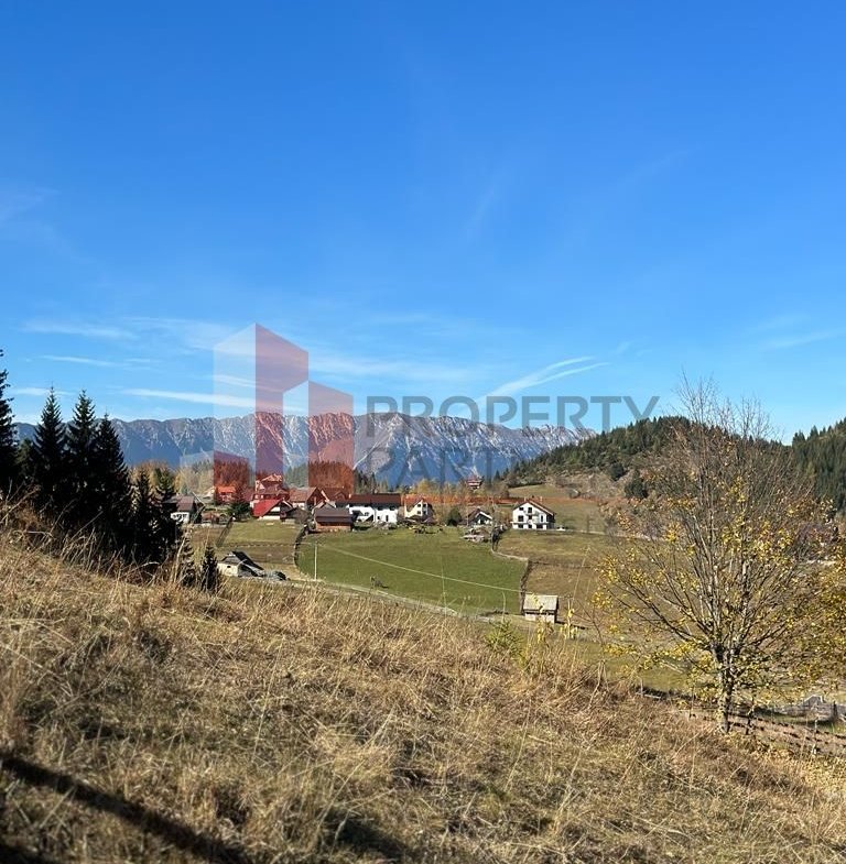Teren Fundatica intravilan 4500 mp