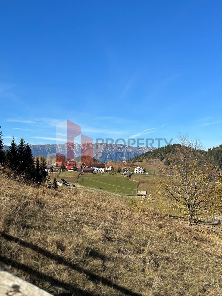 Teren Fundatica intravilan 4500 mp
