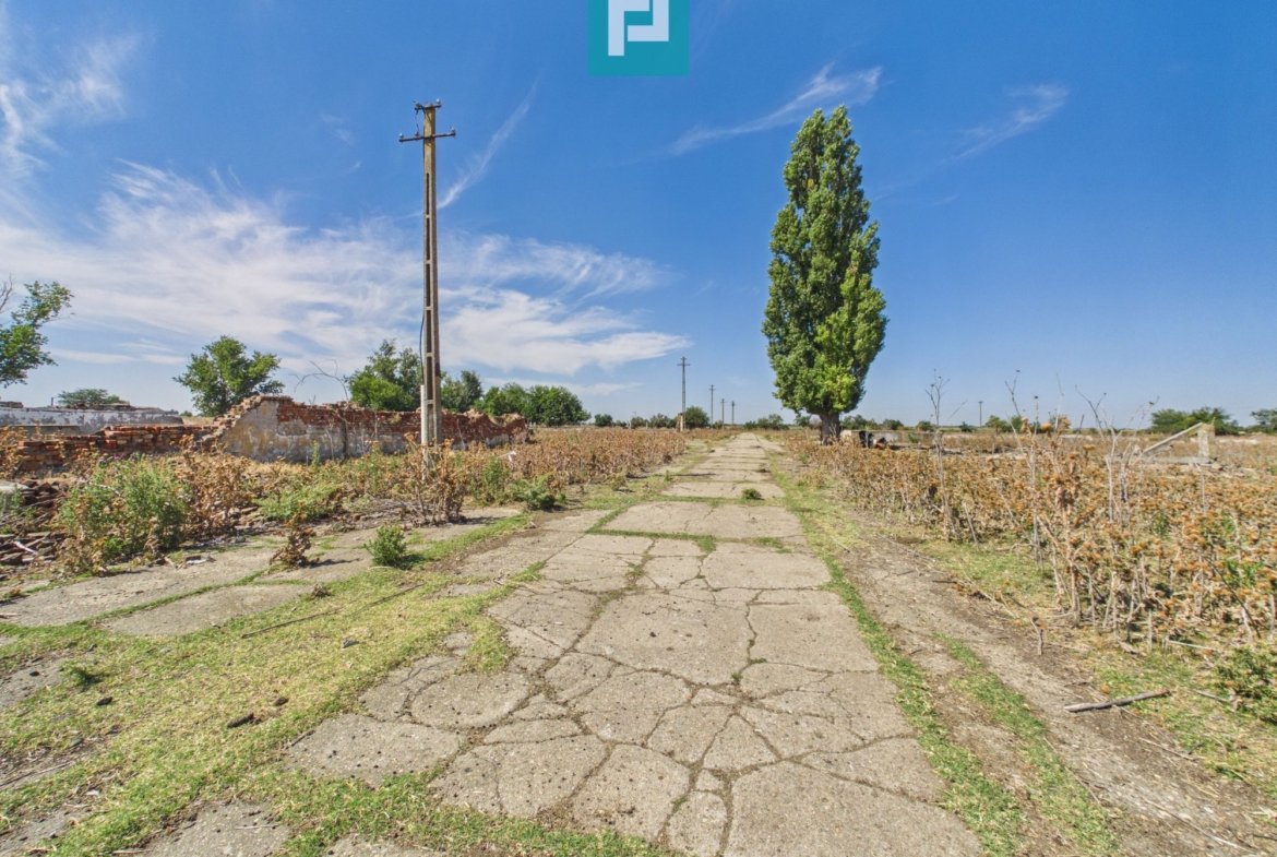 Teren intravilan 146.866 mp | Jimbolia