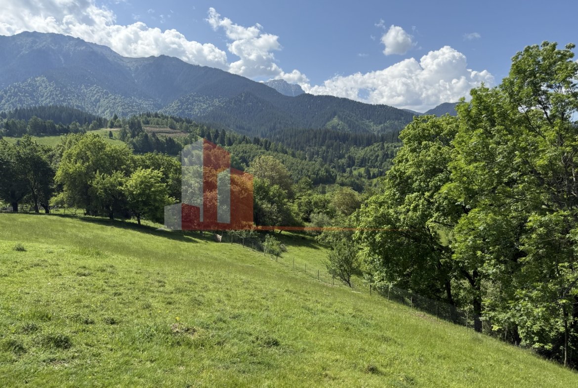 Teren cu priveliște spectaculoasă în Bran – Sohodol